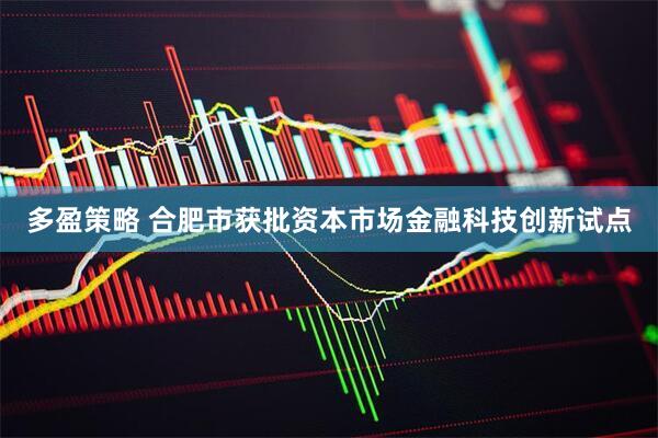 多盈策略 合肥市获批资本市场金融科技创新试点