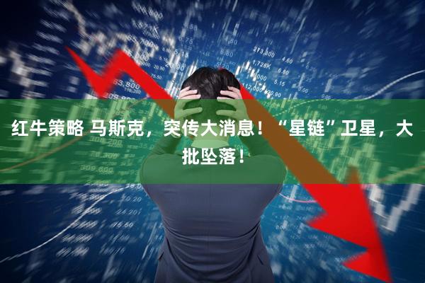 红牛策略 马斯克，突传大消息！“星链”卫星，大批坠落！