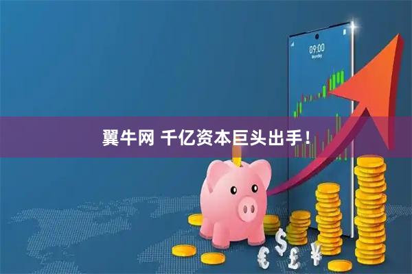 翼牛网 千亿资本巨头出手！