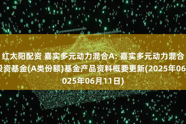 红太阳配资 嘉实多元动力混合A: 嘉实多元动力混合型证券投资基金(A类份额)基金产品资料概要更新(2025年06月11日)