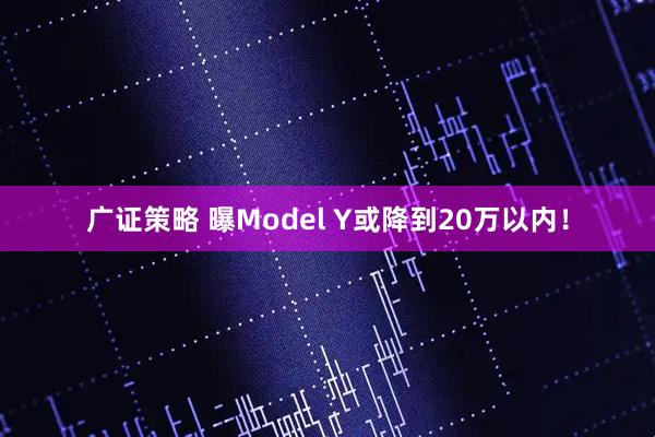 广证策略 曝Model Y或降到20万以内！