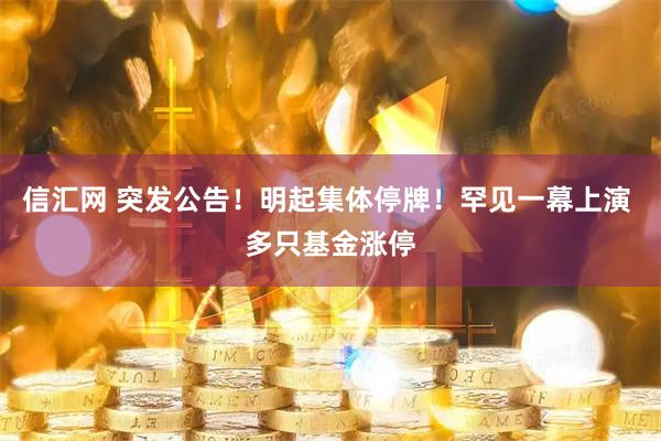 信汇网 突发公告！明起集体停牌！罕见一幕上演 多只基金涨停
